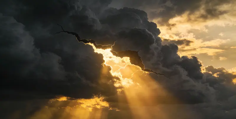 呼伦贝尔肺癌11基因检测组织版图片1