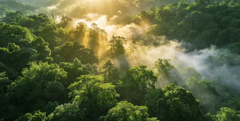 呼伦贝尔肺癌8基因突变检测（组织）图片1