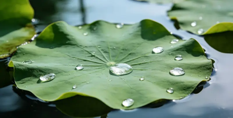 呼伦贝尔乳腺癌21基因mRNA表达分析图片1