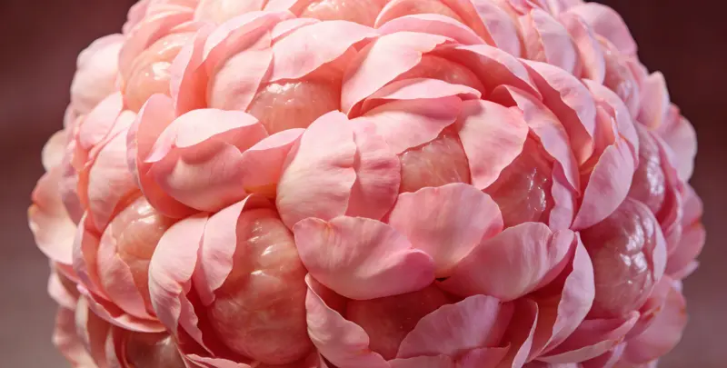 呼伦贝尔BRCA1/2乳腺癌卵巢癌基因检测图片1